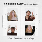 “On the road” with Kadebostany